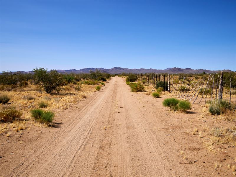 With Mountain Views, Near Highway : Dolan Springs : Mohave County : Arizona
