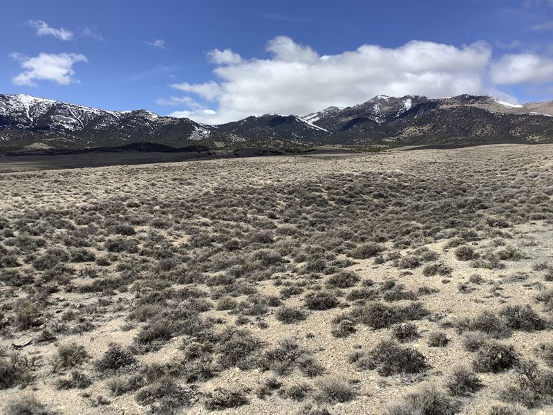 Find Your Off-Grid Oasis : Montello : Elko County : Nevada