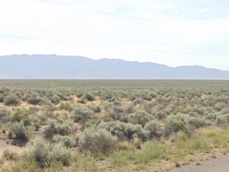 Cheap New Mexico Land, $950 : Belen : Valencia County : New Mexico