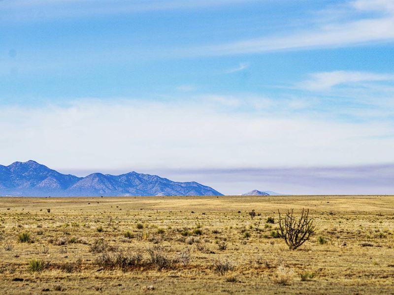 Say Yes to Your Slice of NM $109/Mo : Moriarty : Torrance County : New Mexico