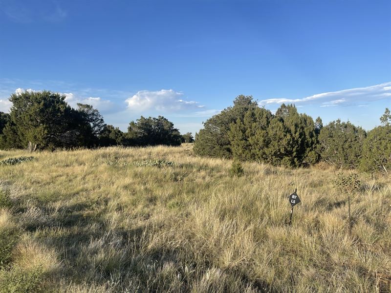 L5 B7 Rocky Mountain Drive, Walsenb : Walsenburg : Huerfano County : Colorado