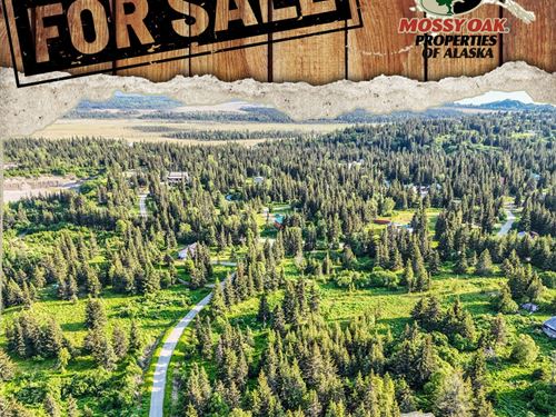Undeveloped View Lot In Ninilchik : Ninilchik : Kenai Peninsula Borough : Alaska