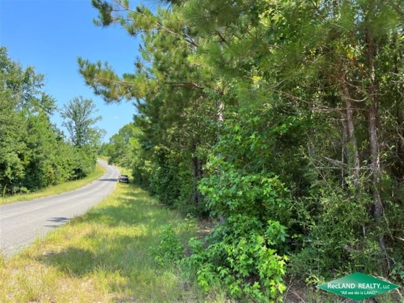 6.5 Ac, Wooded Tract for Home Site : Sibley : Webster Parish : Louisiana