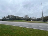 Hwy 280 Commercial Opportunity : Dadeville : Tallapoosa County : Alabama