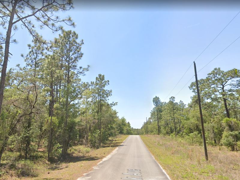 NO HOAs, All Freedom for $299 Down : Dunnellon : Marion County : Florida