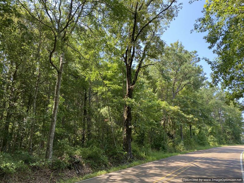 Beautiful 20+/- Acre Tract : Brookhaven : Lincoln County : Mississippi