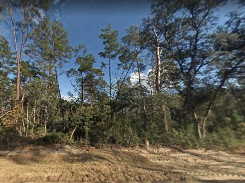 .21 Acre for Sale in Fort McCoy, FL : Fort Mc Coy : Marion County : Florida