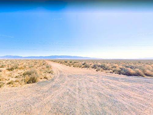 Untamed Potential of Los Lunas : Los Lunas : Valencia County : New Mexico