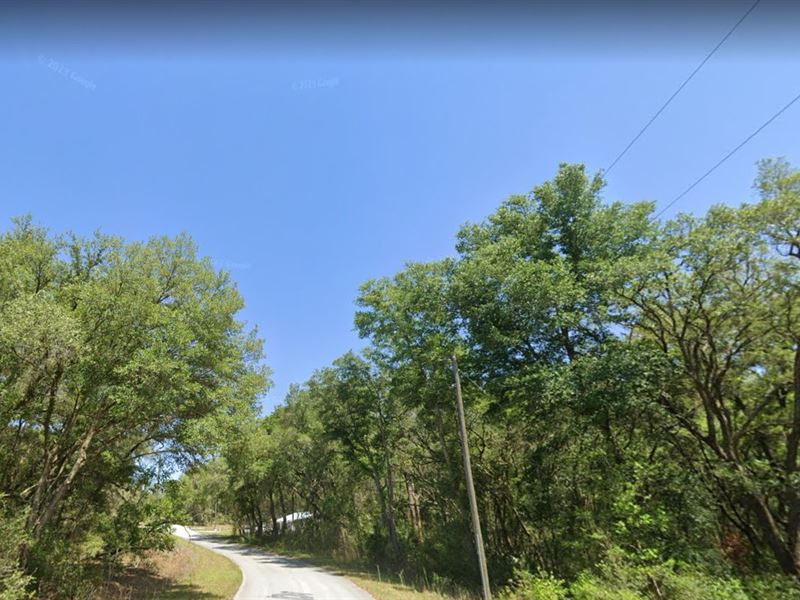Secluded Private Oasis, $204/Mo : Dunnellon : Marion County : Florida