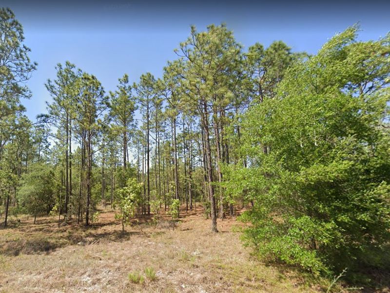Nature's Call, $303/Mo Act Fast Now : Dunnellon : Marion County : Florida