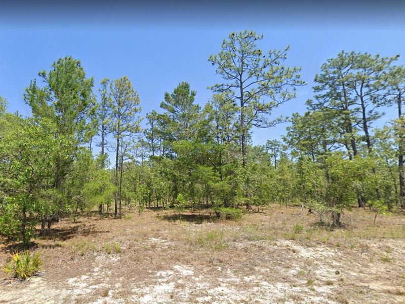 Experience Ecstasy, Snag it $259/Mo : Williston Highlands : Marion County : Florida