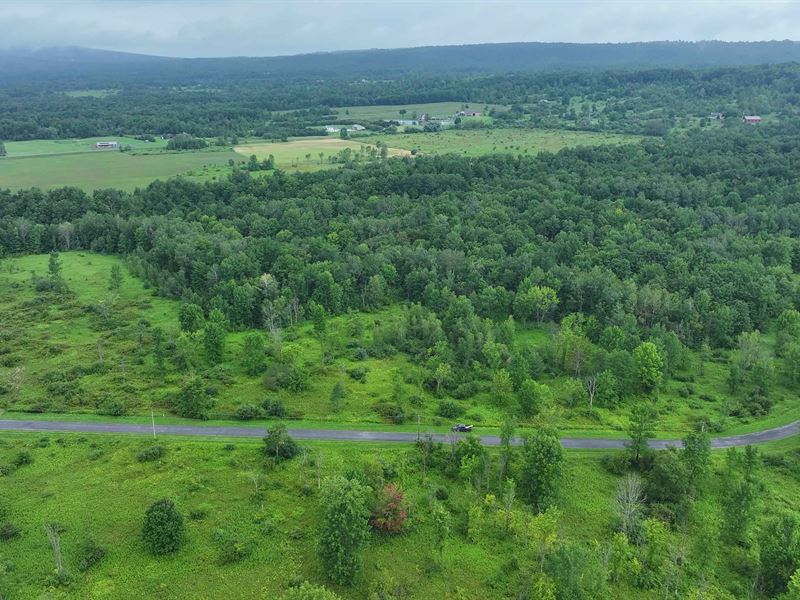 Quiet Country Building Lot : Schuyler : Herkimer County : New York