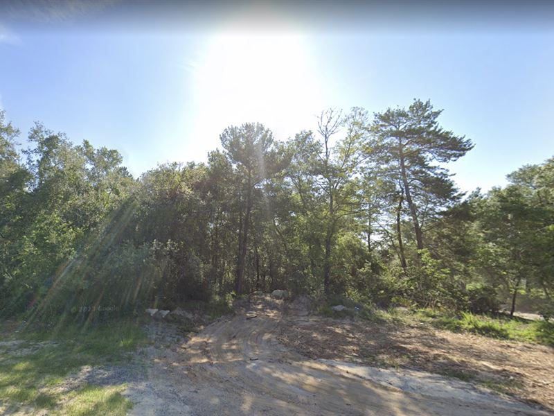 .23 Acre for Sale in Umatilla, FL : Umatilla : Marion County : Florida