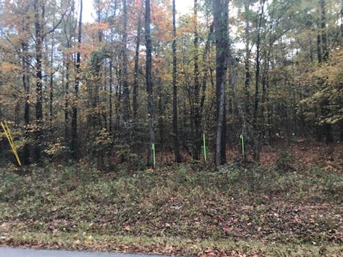 Spacious Lot : Macon : Monroe County : Georgia