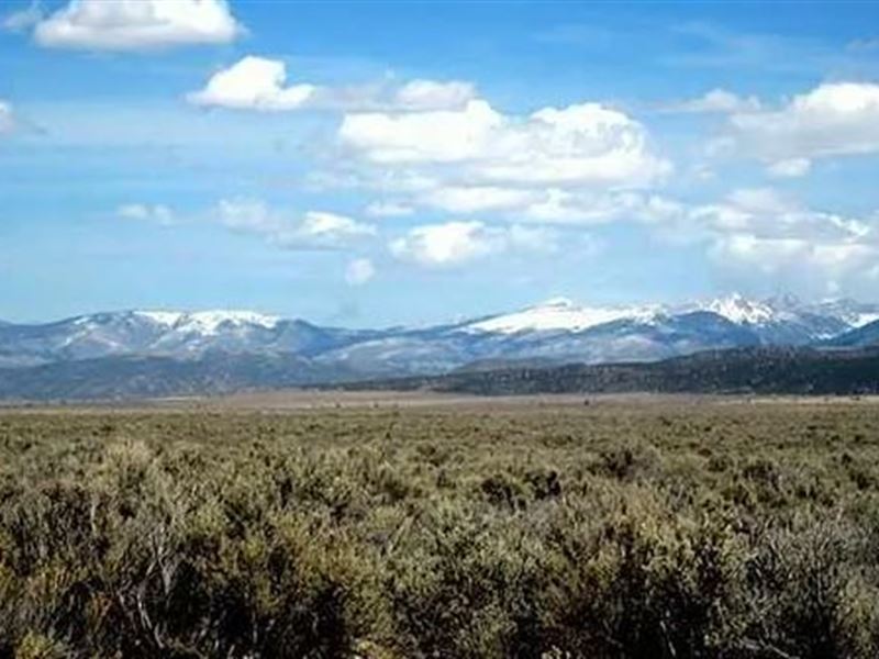 Restart and Relax in Paradise : San Luis : Costilla County : Colorado