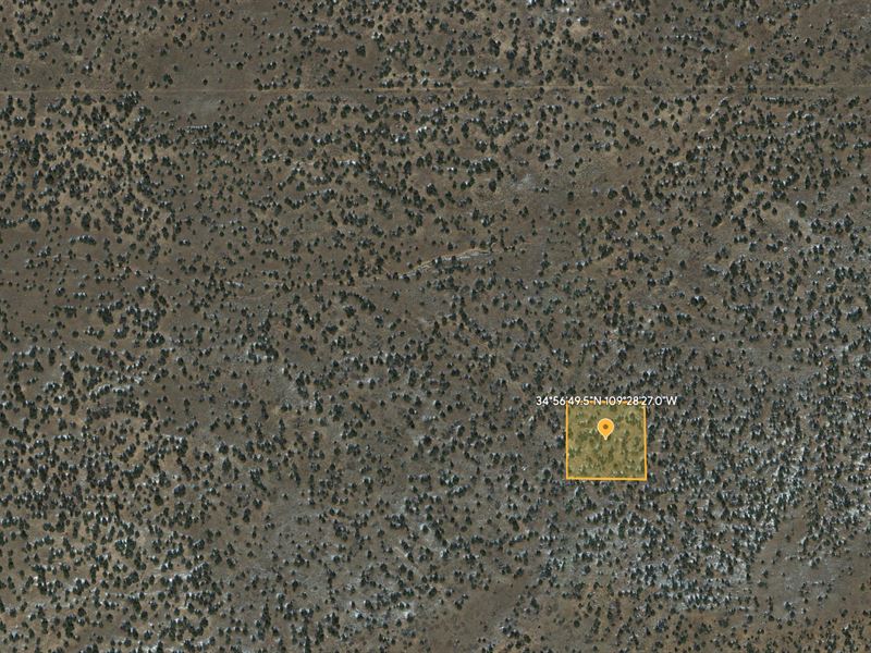 Dream To Live in Apache County, AZ : Sanders : Apache County : Arizona