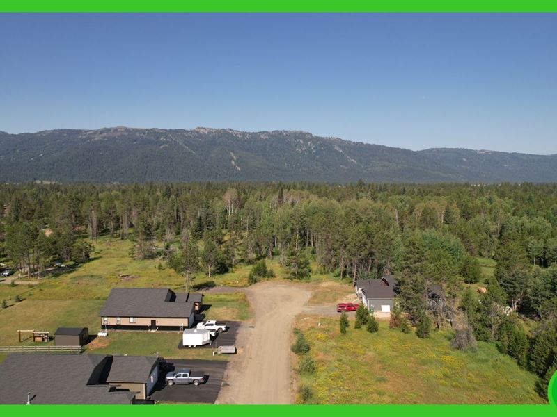 .624 Acre Lot Near Lake Cascade : Donnelly : Valley County : Idaho
