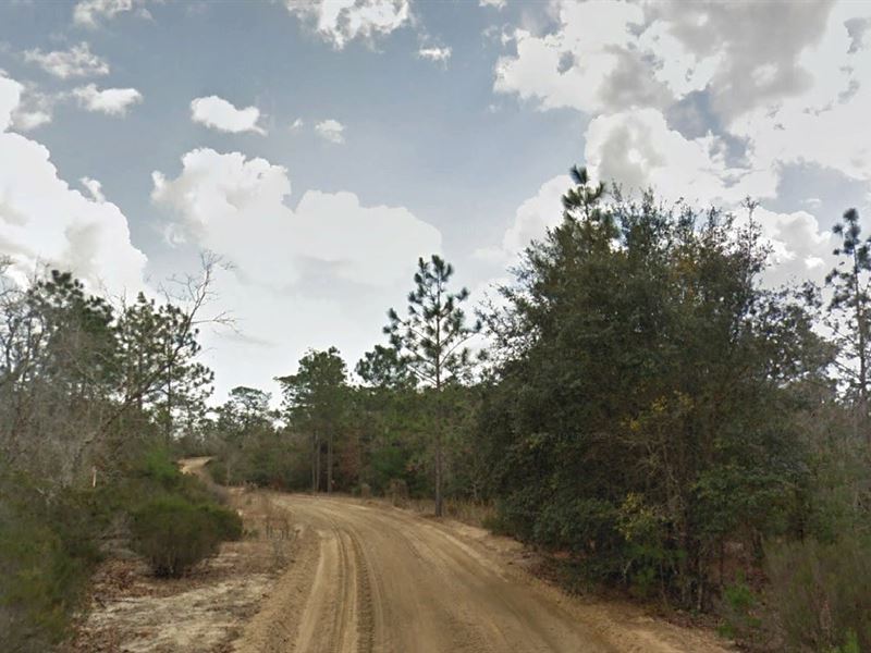 Turn $260/Mo Into Private Paradise : Interlachen : Putnam County : Florida