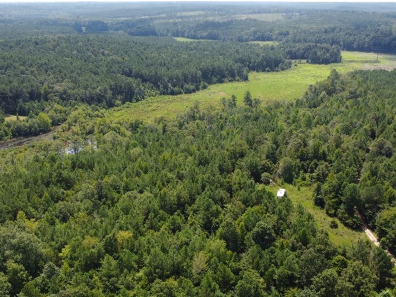 Waterfront Acreage in Rural Area : Winnsboro : Fairfield County : South Carolina