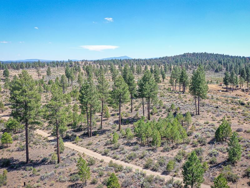 Must Sell Now Klamath County Parcel : Sprague River : Klamath County : Oregon