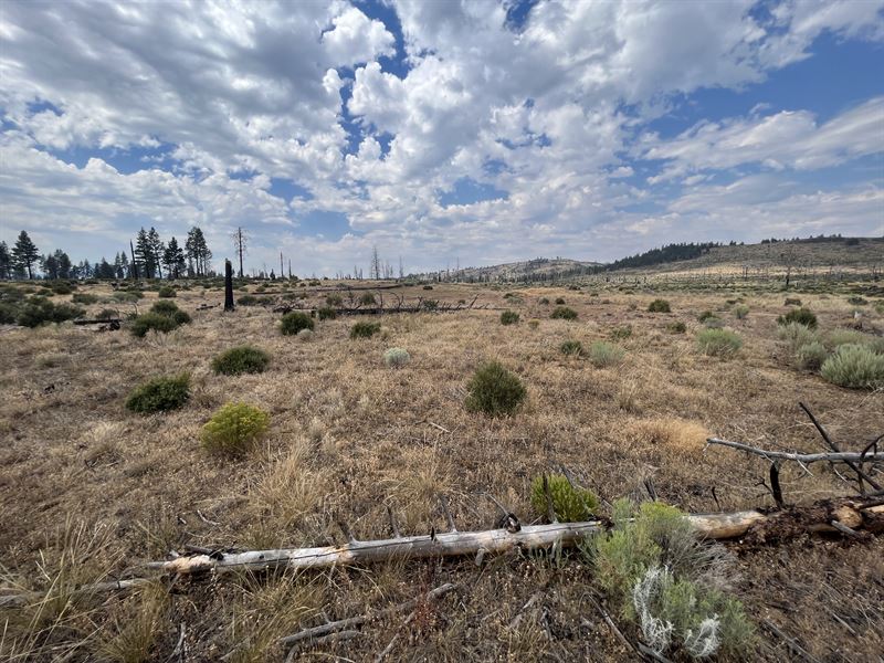 Buy Now, Klamath County $215 Month : Sprague River : Klamath County : Oregon