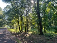 3.45 Acre Homesite Opportunity : Cecil : Montgomery County : Alabama