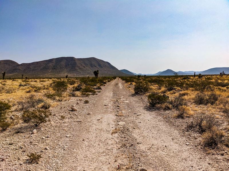 Best of Both Worlds : El Paso : El Paso County : Texas