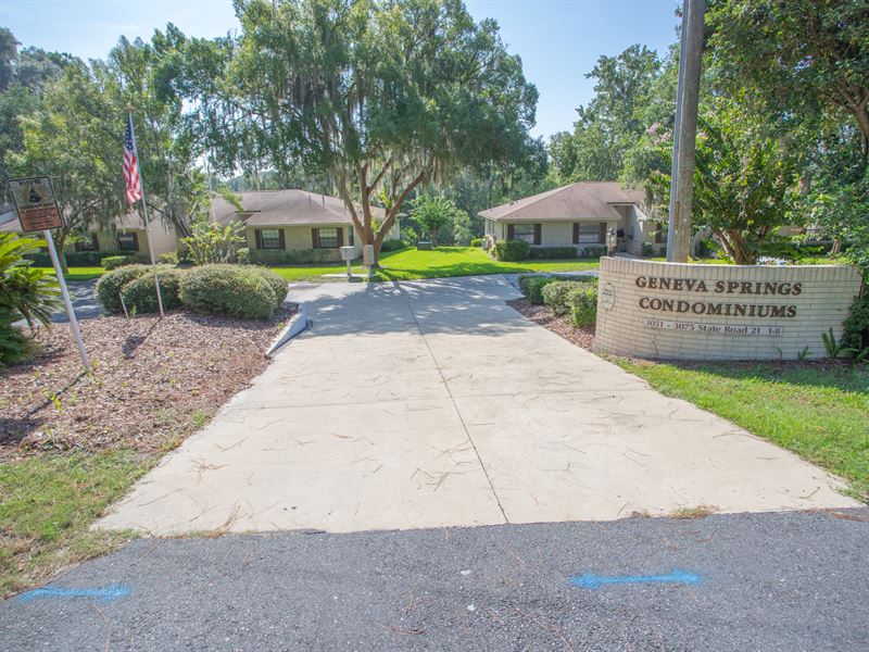 Beautiful Maintenance-Free Living : Melrose : Bradford County : Florida