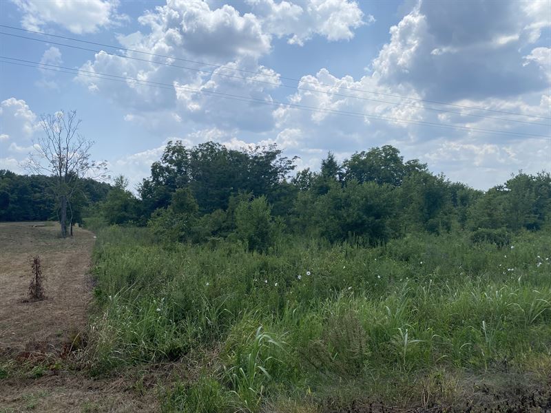 La, Franklin 4.170 Acres : Winnsboro : Franklin Parish : Louisiana