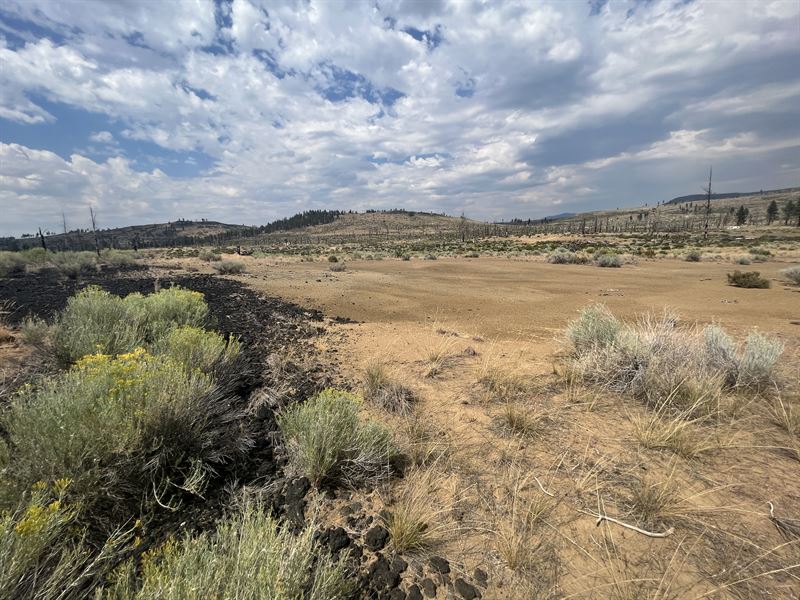 Buy Today, Conjoining Lots : Sprague River : Klamath County : Oregon