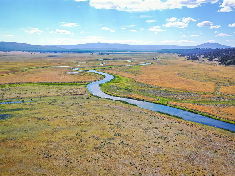 Serene Living Close To River : Sprague River : Klamath County : Oregon