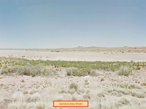 1.25 Acres in Navajo County, AZ : Holbrook : Navajo County : Arizona
