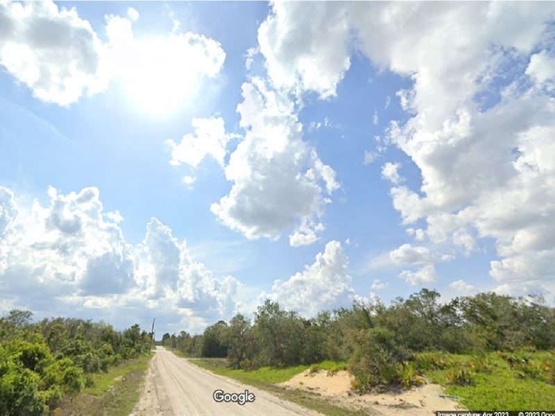 Urban Escape, Tranquil Living : Lake Placid : Highlands County : Florida