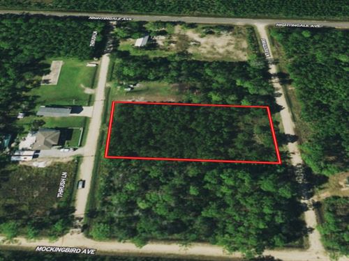 Double Frontage Lot Close To Beach : Bay Saint Louis : Hancock County : Mississippi