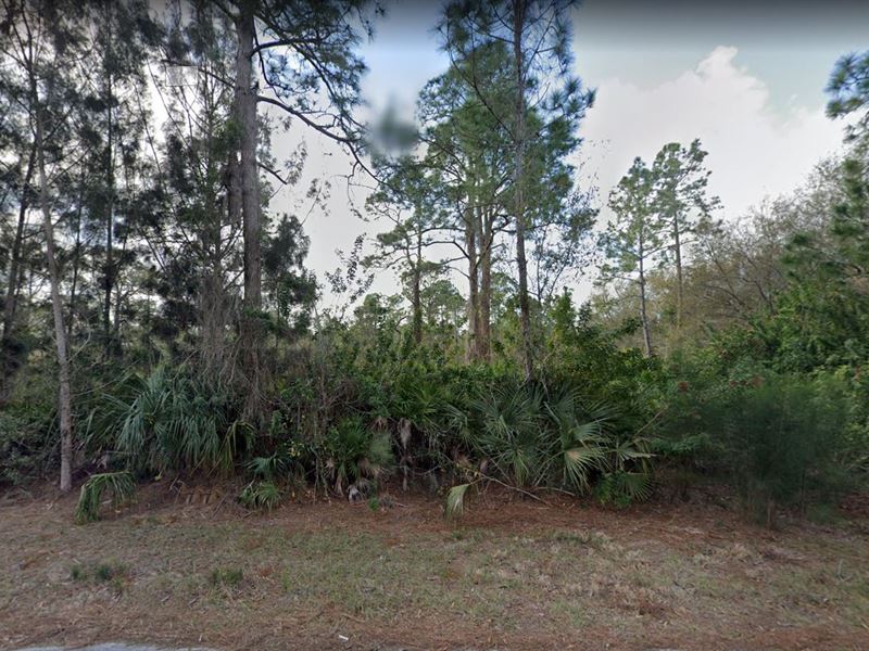 Prime Site To Build, Florida Living : Punta Gorda : Charlotte County : Florida