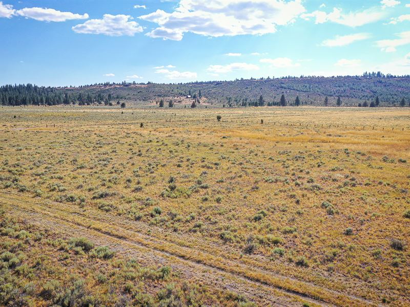 Buy Now, Remote Living in OR : Beatty : Klamath County : Oregon