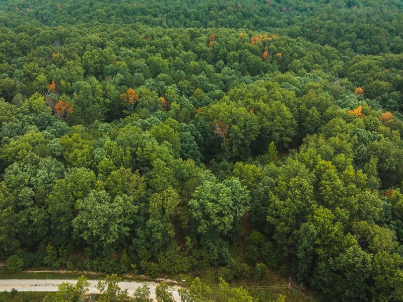 Whispering Trails : Raymondville : Texas County : Missouri
