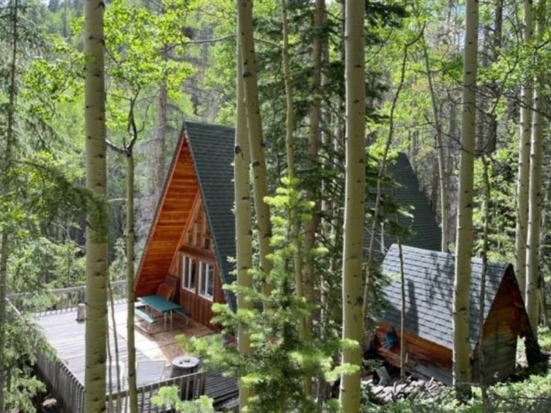 Cabin with Acreage : Salida : Chaffee County : Colorado