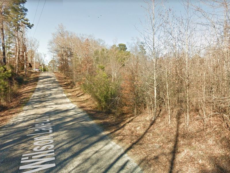 Unrestricted Oasis in Hot Springs : Hot Springs National Park : Garland County : Arkansas