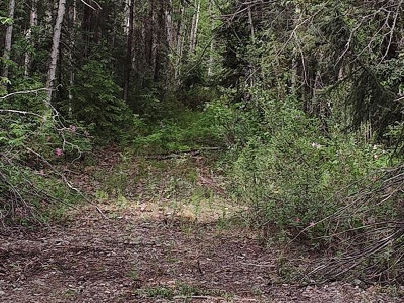 1.94 Acre Perfect Gem for a Home : Fairbanks : Fairbanks North Star Borough : Alaska