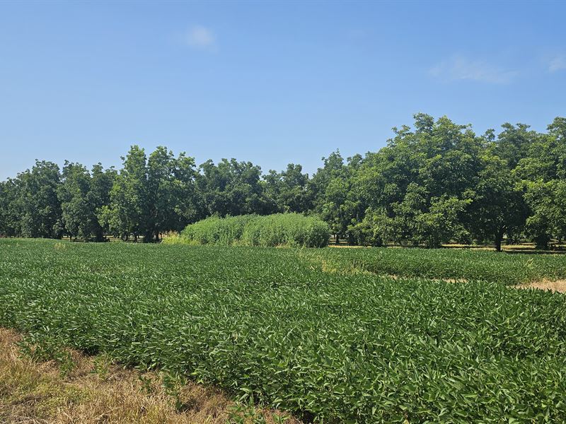 13.32 Acres in Bolivar County, MS : Cleveland : Bolivar County : Mississippi