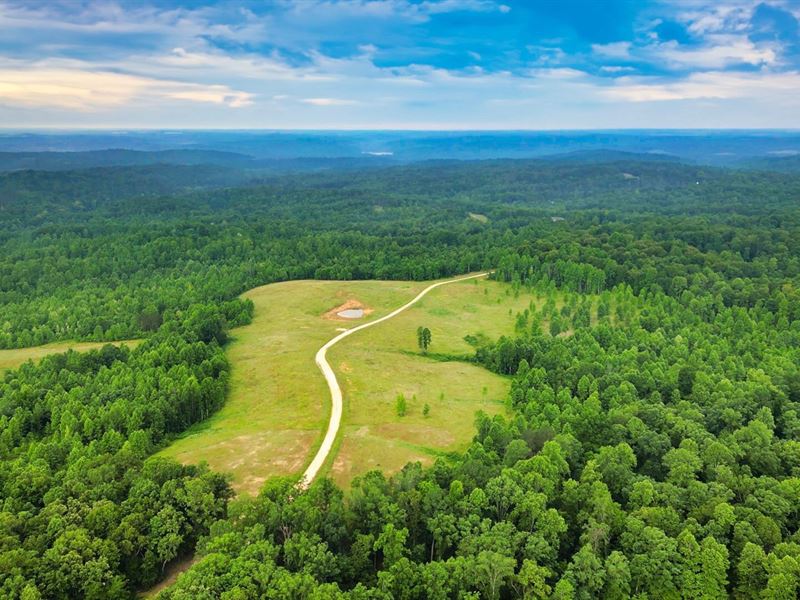 Tract 12, Unrestricted Land : Indian Mound : Stewart County : Tennessee