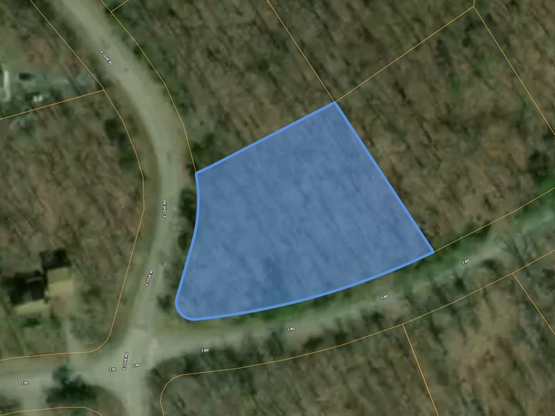 Prime Lot Best Deal and Financing : Monterey : Cumberland County : Tennessee