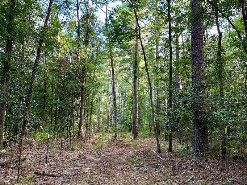 18 Acres Mill Creek Rd : Andalusia : Covington County : Alabama