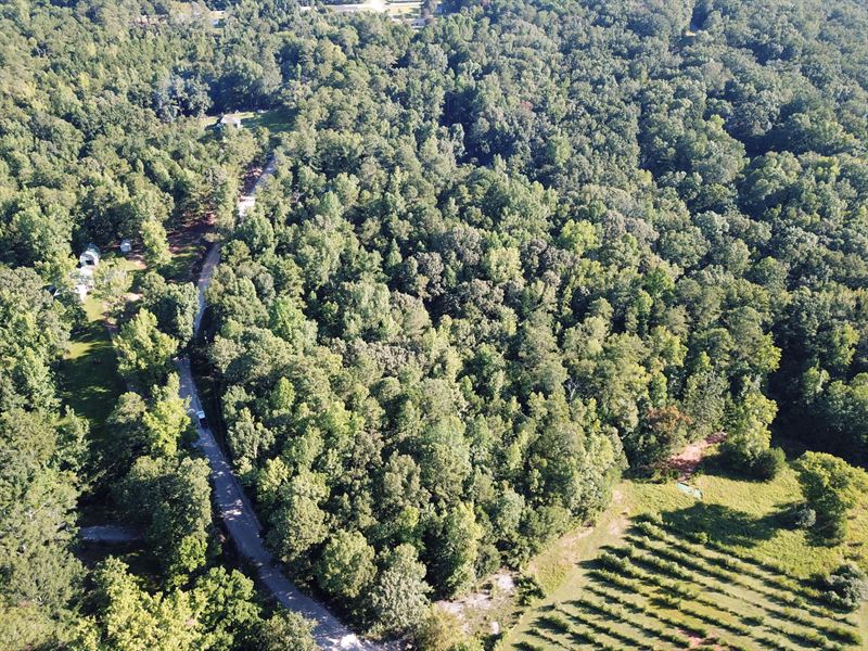6.7 Acres, Douglas County, GA : Winston : Douglas County : Georgia