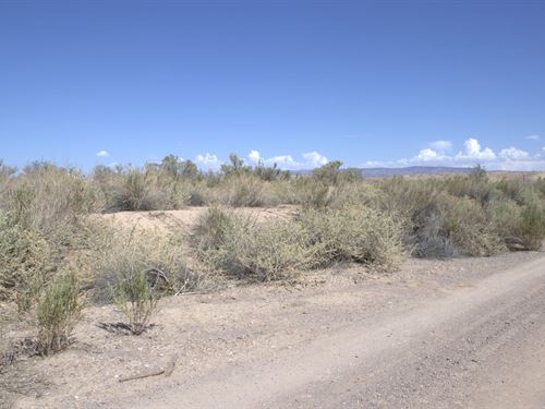 $500.81 Down, Own a Flat Acre : Mohave Valley : Mohave County : Arizona