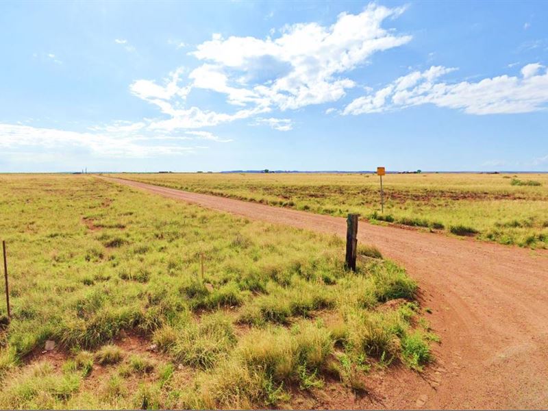 Your Very Own Private Eutopia : Sun Valley : Navajo County : Arizona