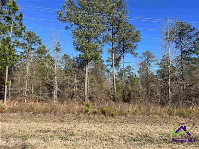 Timber / Recreational Tract Cochran : Cochran : Bleckley County : Georgia