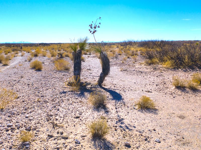1 Acre for $218 a Month : Texas City : El Paso County : Texas