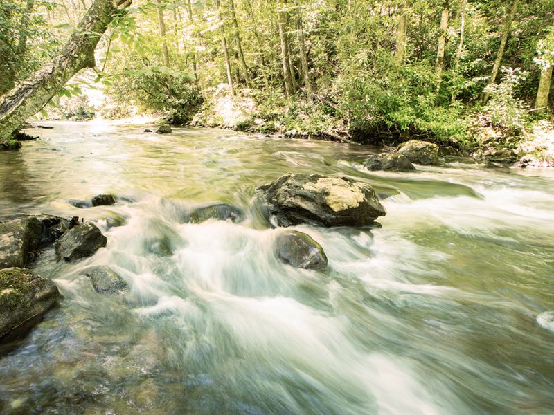 Buck Creek Fishing Retreat Brady : Hayesville : Clay County : North Carolina